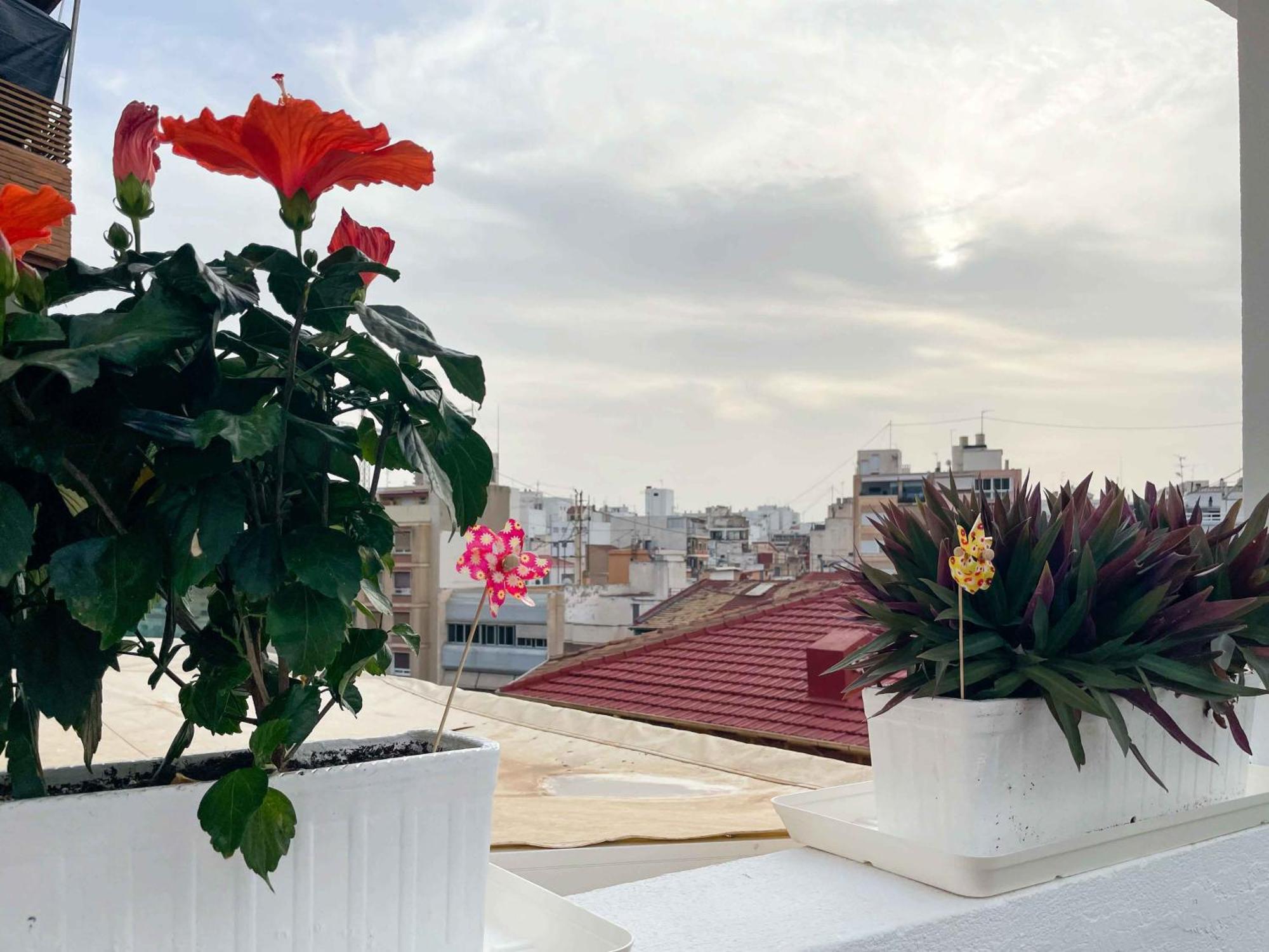 El Atico Del Mercado. Un Lugar Dificil De Olvidar. Alicante Dış mekan fotoğraf